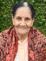 Nilcea